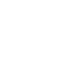 Partner Firms
